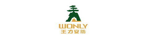 王力安防